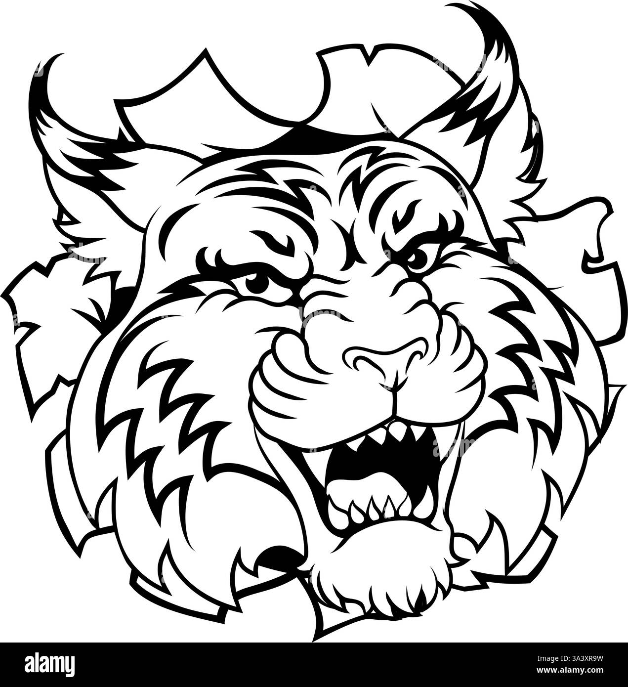 Wildcat Bobcat Sports Team Cartoon Tiermaskottchen Stock Vektor