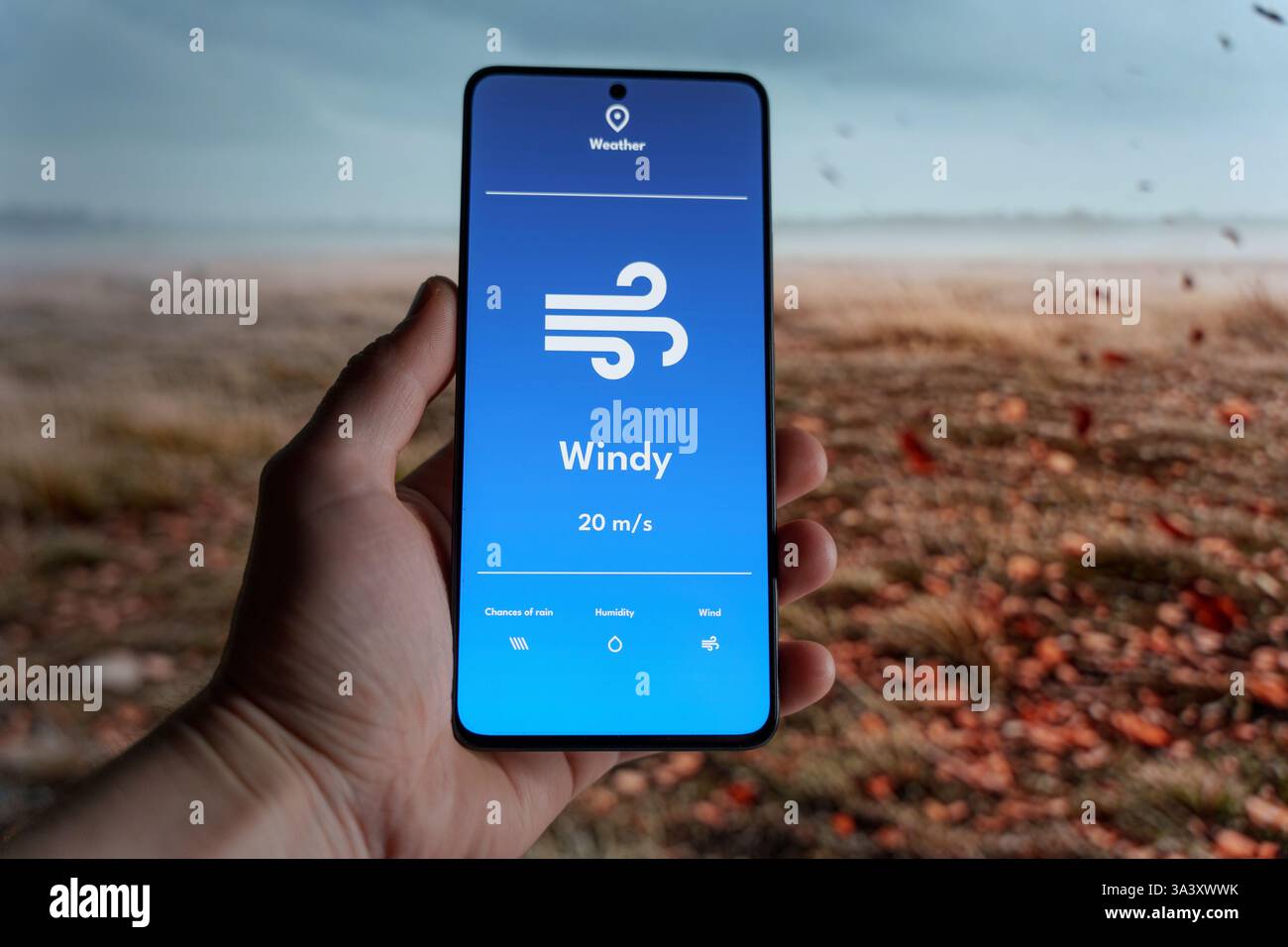 Die Hand hält ein Smartphone, das eine Wetter-App mit einer windigen Wettervorhersage anzeigt. Starke Winde wehen Blätter über eine trockene Landschaft im Hintergrund. Weathe Stockfoto
