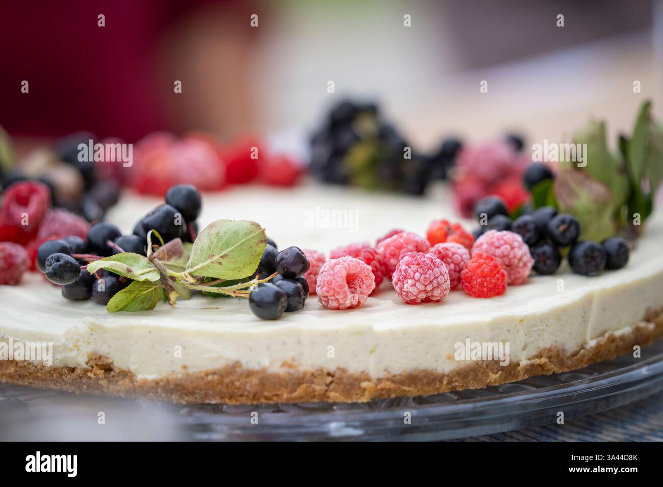 Kein Käsekuchen mit reichhaltiger Käsefüllung und knuspriger Basis. Käsekuchen mit Himbeeren und Apfelbeeren. Sommerparty-Kuchen mit Beeren. Stockfoto