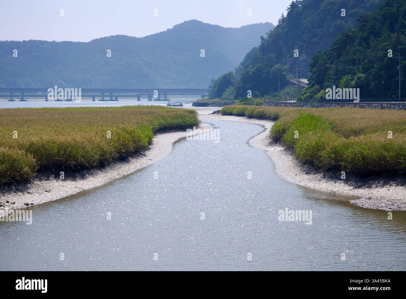 Gwangyang City, Südkorea - 3. Oktober 2021: Ein gewundener Gezeitenkanal schlängelt sich durch Marschland und fließt mit einer entfernten brücke in den Seomjin River Stockfoto