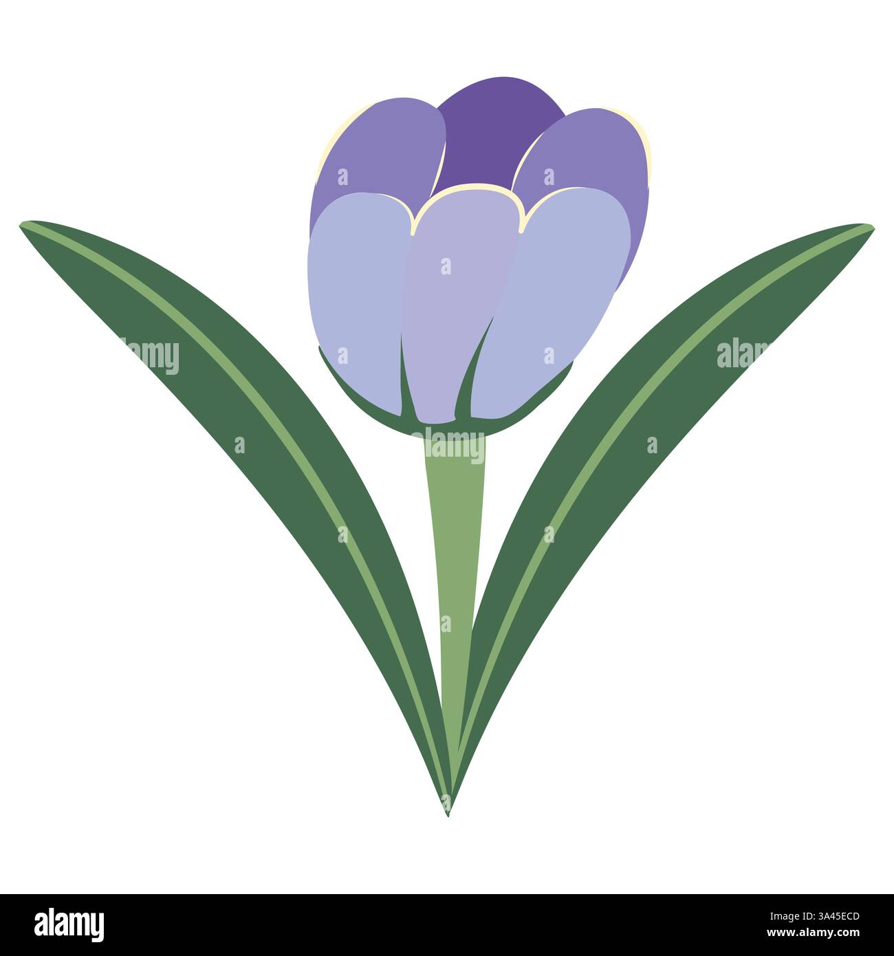 Crocus Blume Zeichnung einzelne Blume; Doodle Stil Stock Vektor Illustration; Gruß; Einladung, Notizbuch, Taschen; Stock Vektor