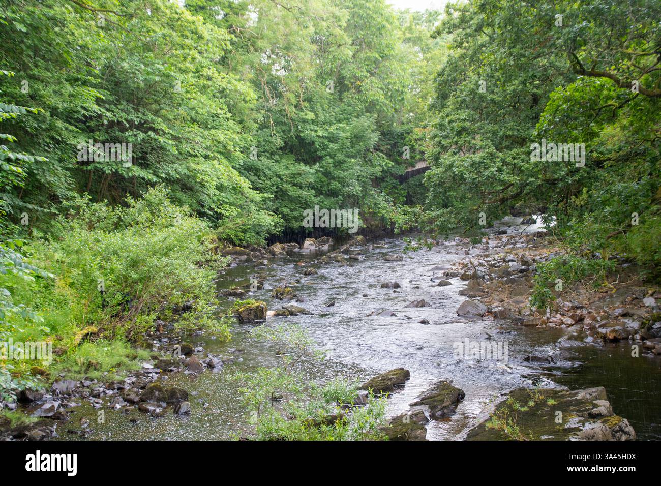 River in Yorkshire, England Stockfoto