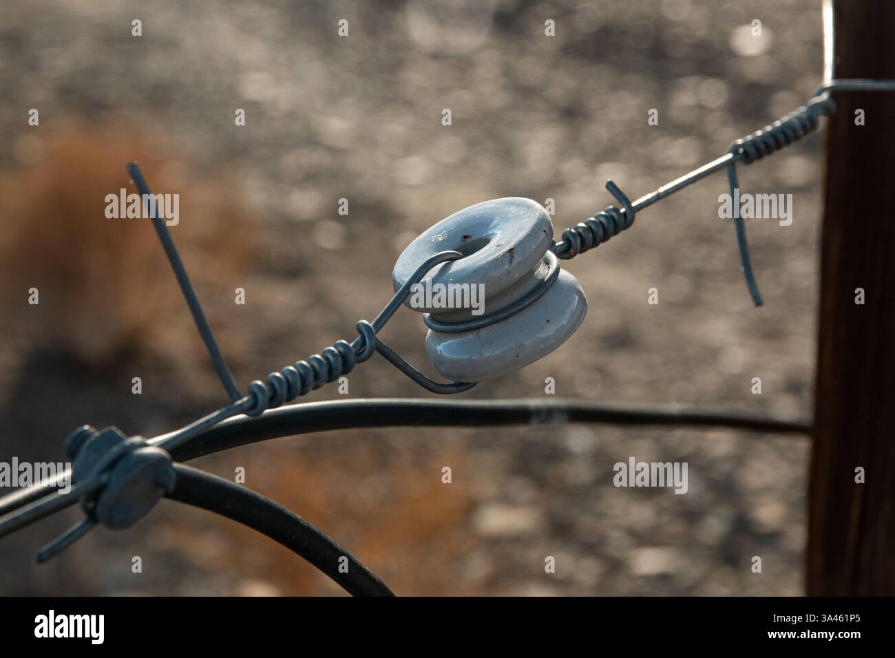Abstrakte Darstellung eines Keramikisolators auf einem elektrifizierten Grenzzaun auf einer ländlichen Ranch im Inyo County. Stockfoto
