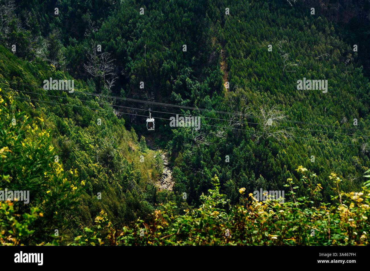 Teleférico do Jardim Botânico, Seilbahn über den Botanischen Garten, Funchal, Madeira, Portugal Stockfoto