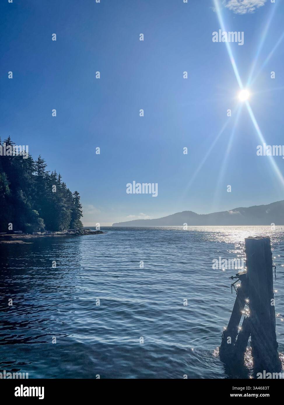 Helle Sonnenstrahlen reflektieren von der ruhigen Meeresoberfläche, mit einem verwitterten Holzpfosten im Vordergrund und bewaldeten Bergen entlang der fernen Küste. - Smartphone-aufgenommenes Stockfoto