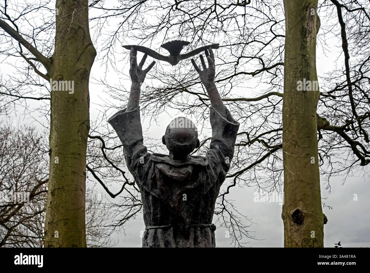 Bronzestatue von St. Columba, die eine Taube vom Bildhauer Niall Bruton im St Columb's Park, Derry/Londonderry, Nordirland, freigibt. Stockfoto