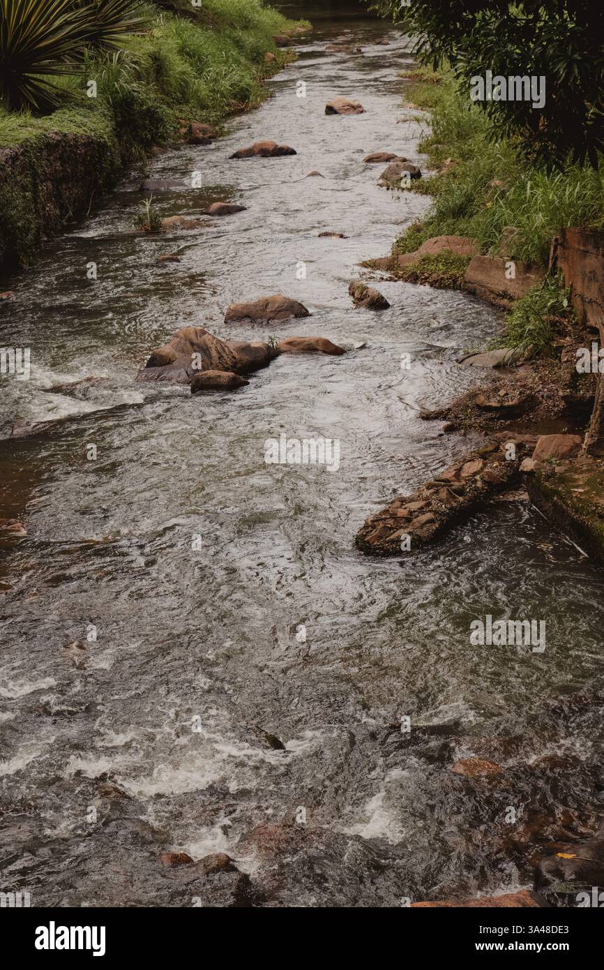 Ruhiger Fluss, Der Durch Die Üppige Landschaft Fließt Stockfoto