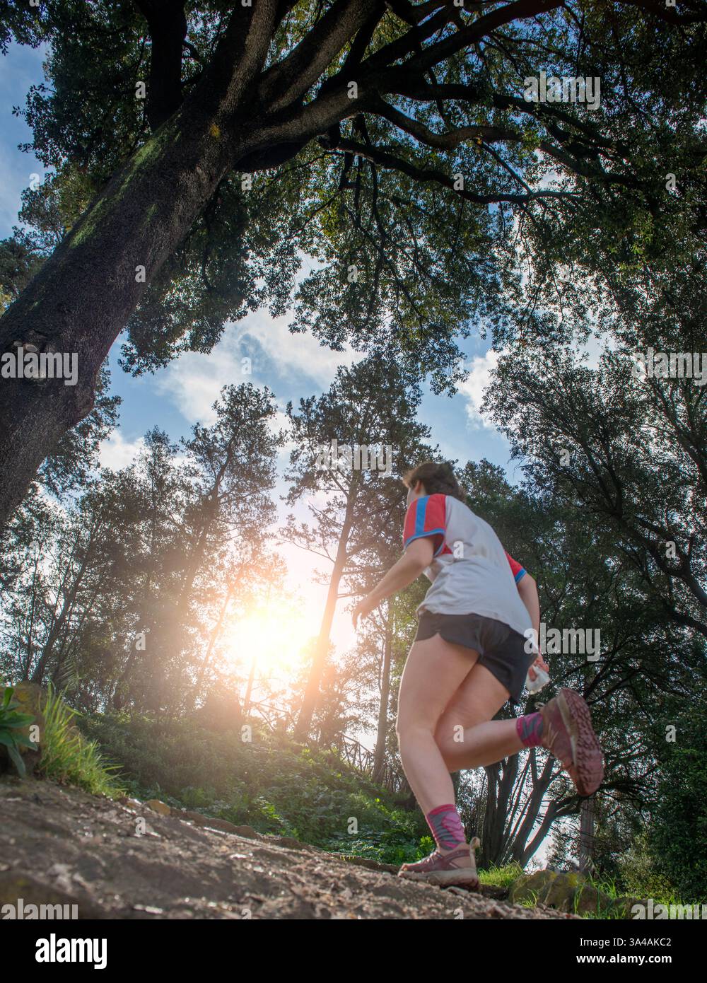 Marathonläufertraining im Park in Rom Stockfoto
