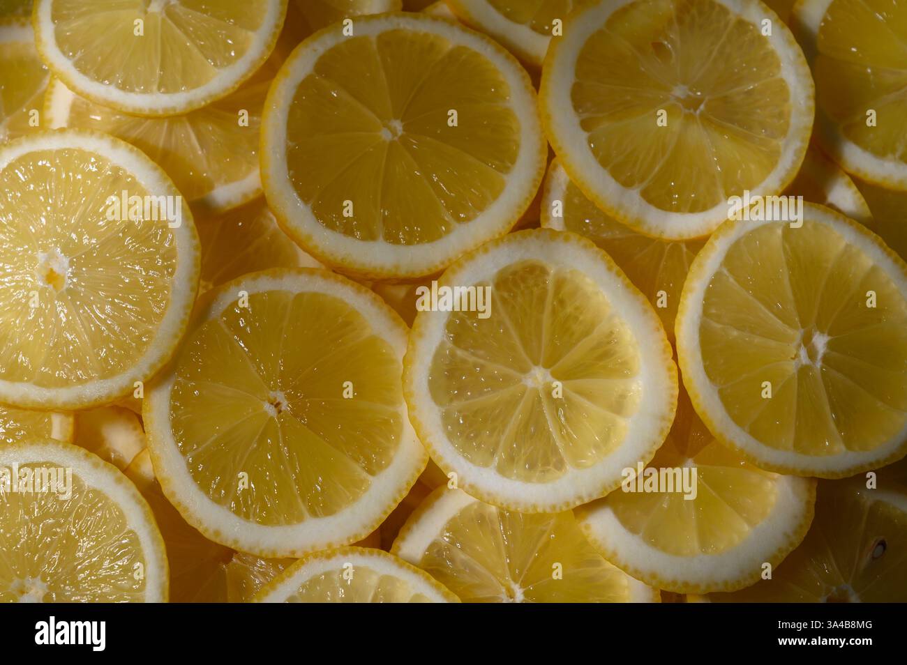 Frische Zitronenscheiben füllen den Rahmen und zeigen ihre leuchtend gelbe Farbe und saftige Textur. Das Arrangement unterstreicht ein Gefühl von Frische, Perfec Stockfoto