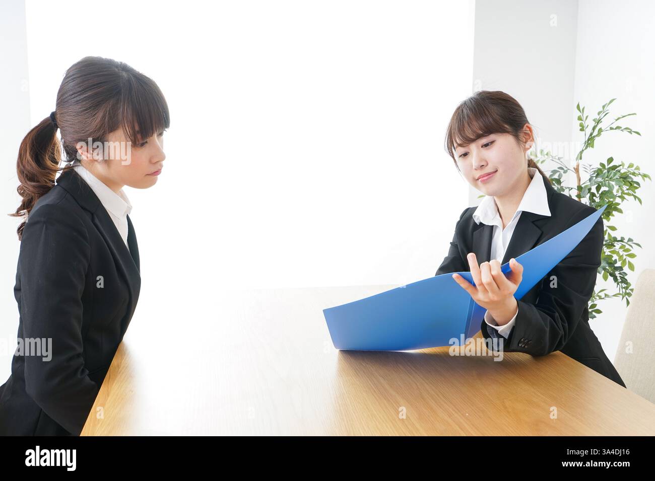 Geschäftsfrau mit Business-meeting Stockfoto