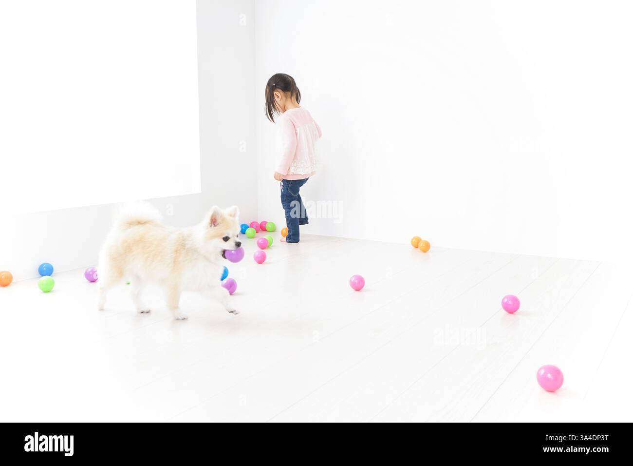 Kind spielt mit Hund Stockfoto