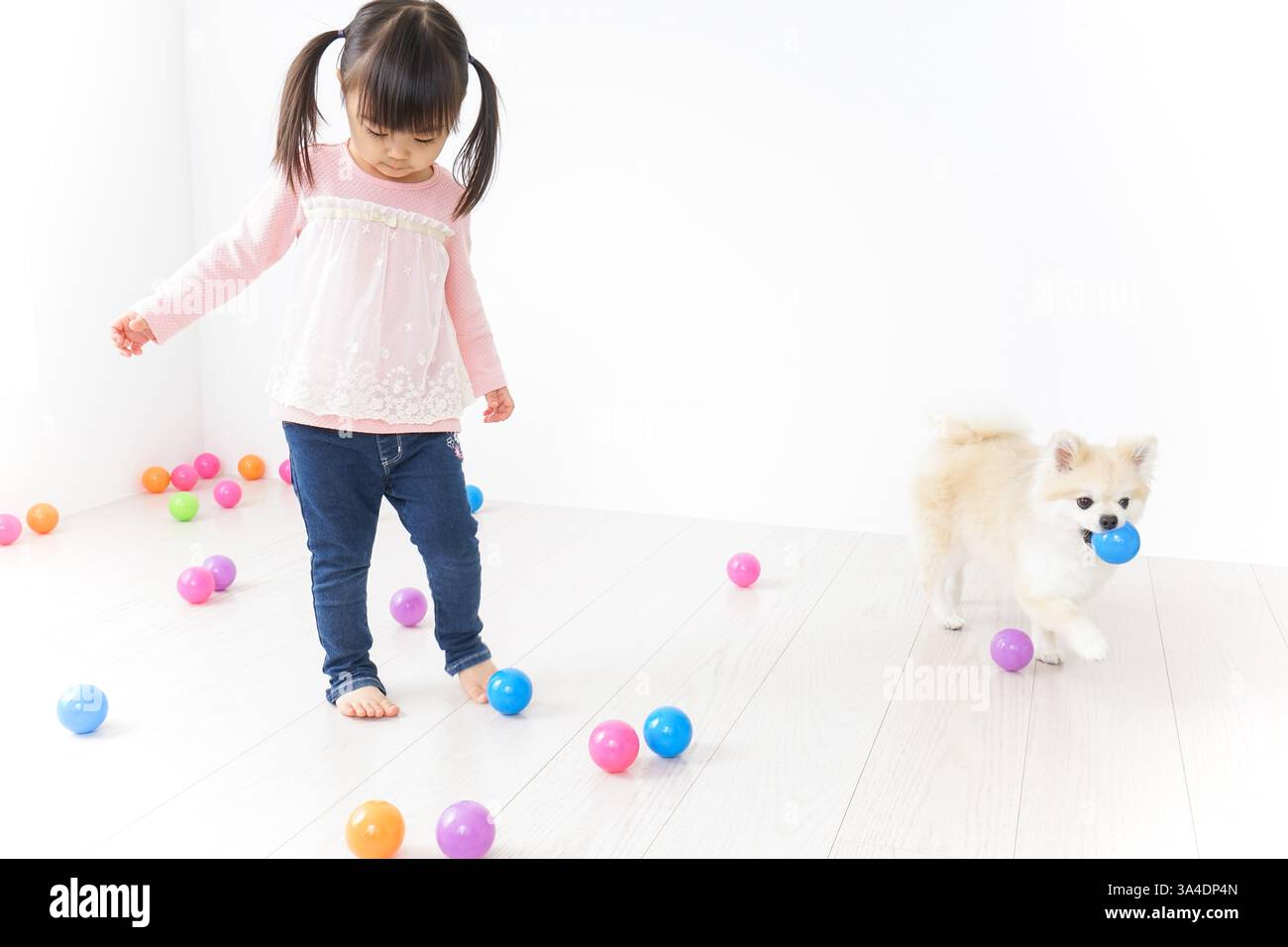 Kind spielt mit Hund Stockfoto