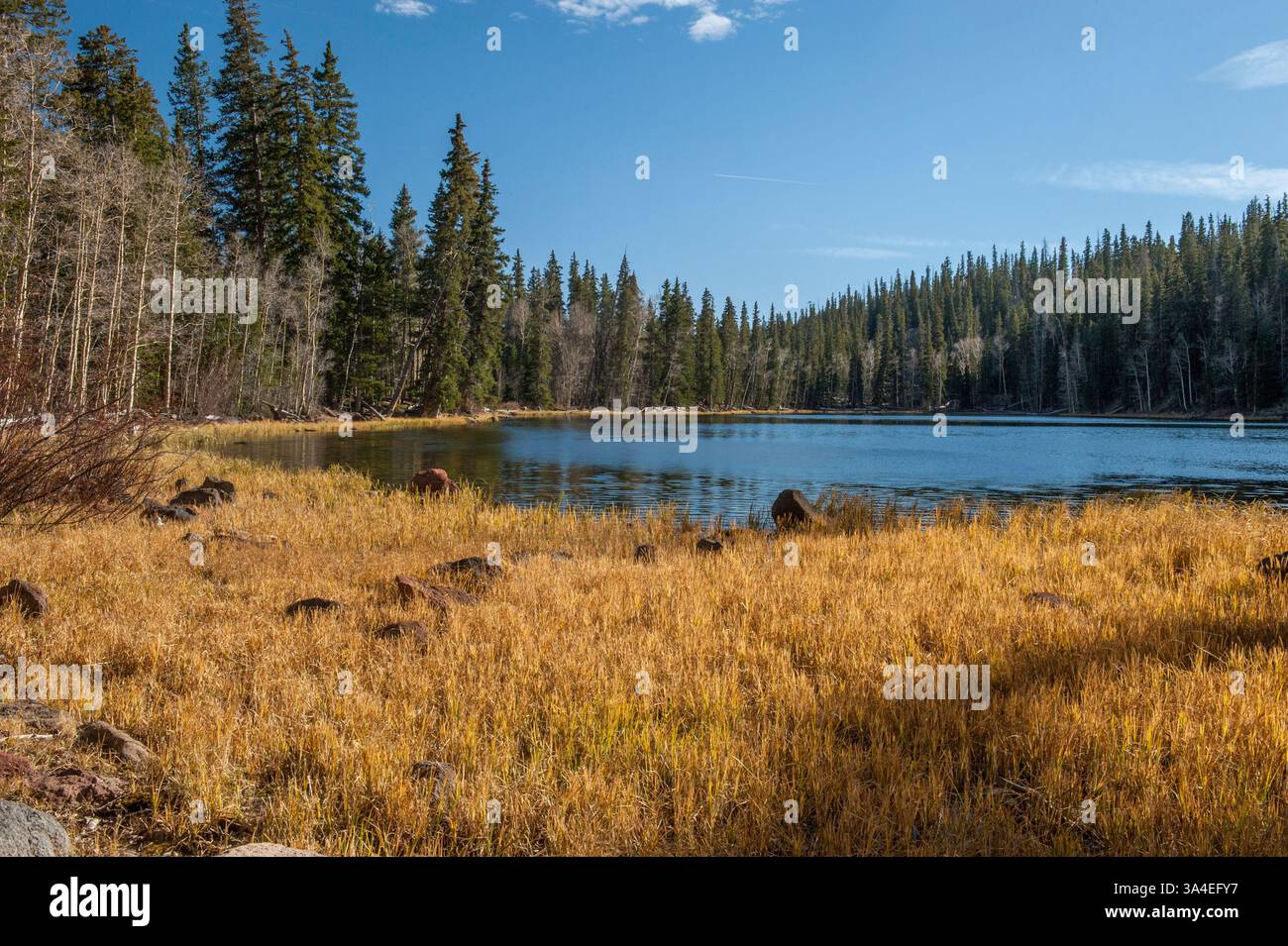 Deep Creek Lake auf dem Thousand Lakes Mountain in Utah, nahe Torrey Stockfoto
