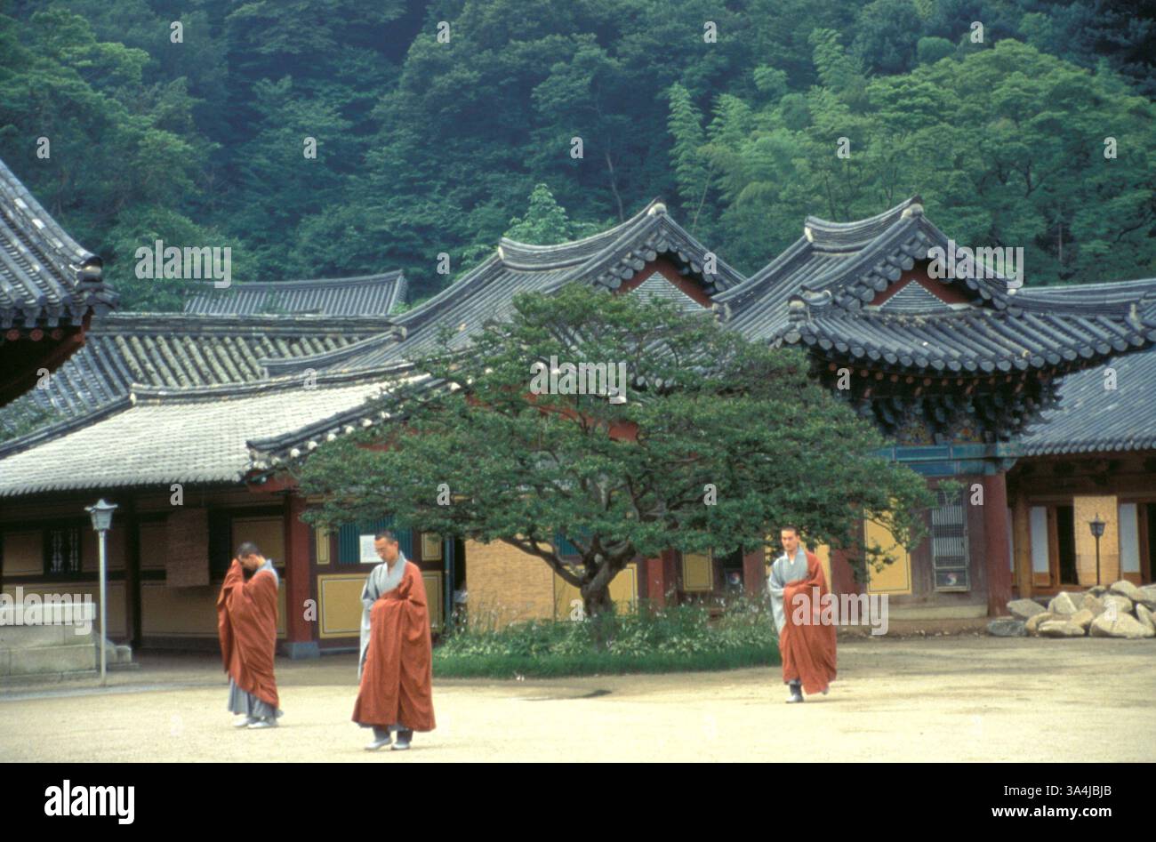 14. Juli 2004; Daegu, SÜDKOREA; (Dateifoto) Budhistische Mönche am Haeinsa Tempel, der auf die Mitte des 8. Jahrhunderts zurückgeht. Der Tempel enthält 81.258 handgeschnitzte Holzblocktafeln aus dem 13. Jahrhundert, die zum Drucken der Tripitaka Koreana verwendet werden. Das Tripitaka Koreana ist die weltweit umfassendste und älteste intakte Ausgabe des chinesischen buddhistischen Kanons. Im Jahr 1980 hatte Reverend Chongnim, ein junger buddhistischer Mönch, die Vermutung, dass Computer helfen könnten, die riesigen Resevoir des buddhistischen Denkens seines Tempels in eine elektronische Datenbank zu verwandeln, die Klerus und Gelehrten einen einfachen Zugriff ermöglichen würde. Das Projekt, Stockfoto