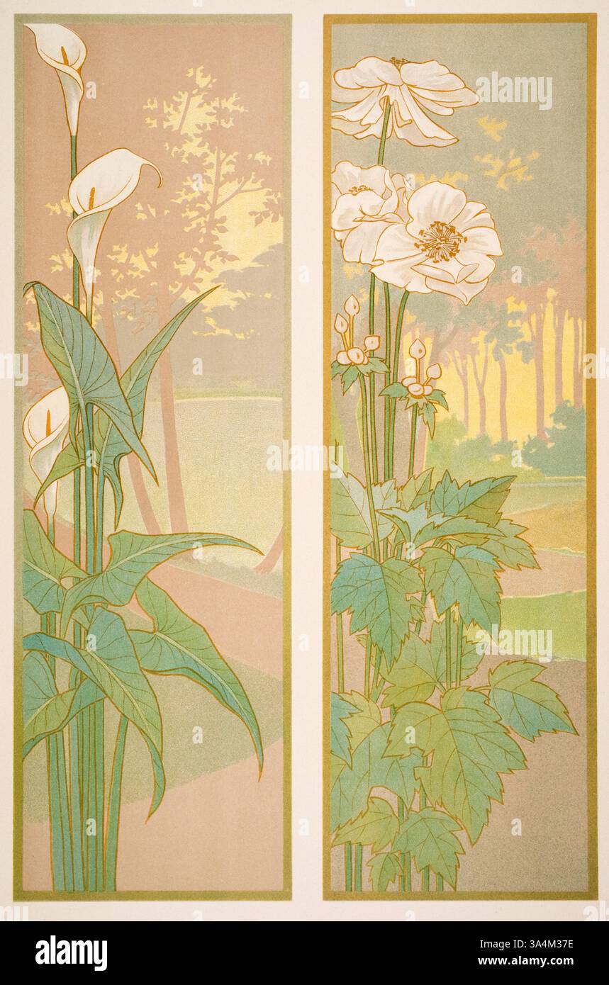 Calla und Anemone Lily und Anemone Blumen, flache Innenverkleidung, von dem französischen Künstler und Illustrator Charles Martin von Decorative Vorbil Stockfoto