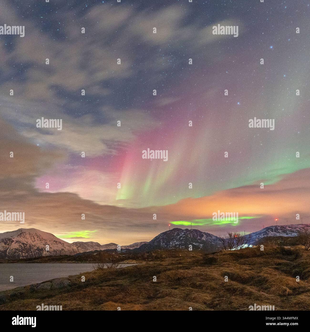 Wunderschöne Aurora Borealis über der Insel Kvaløya, tanzende Nordlichter, die sich in den Gewässern des Nordatlantiks spiegeln, grünes Licht am Himmel Stockfoto