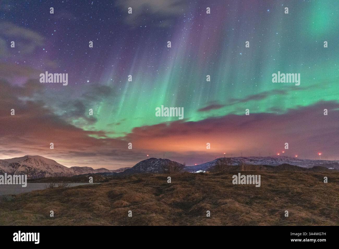 Wunderschöne Aurora Borealis über der Insel Kvaløya, tanzende Nordlichter, die sich in den Gewässern des Nordatlantiks spiegeln, grünes Licht am Himmel Stockfoto