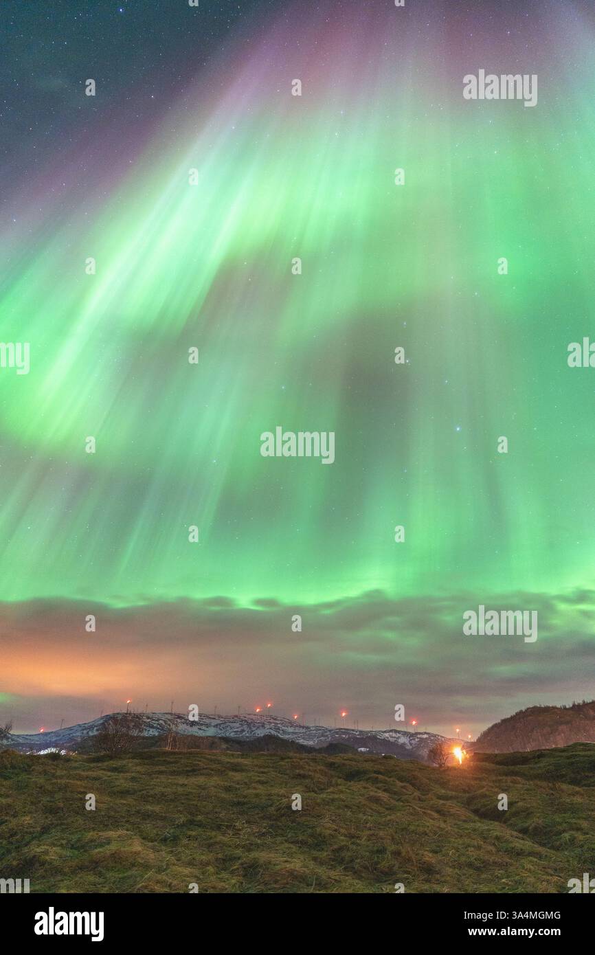Wunderschöne Aurora Borealis über der Insel Kvaløya, tanzende Nordlichter, die sich in den Gewässern des Nordatlantiks spiegeln, grünes Licht am Himmel Stockfoto