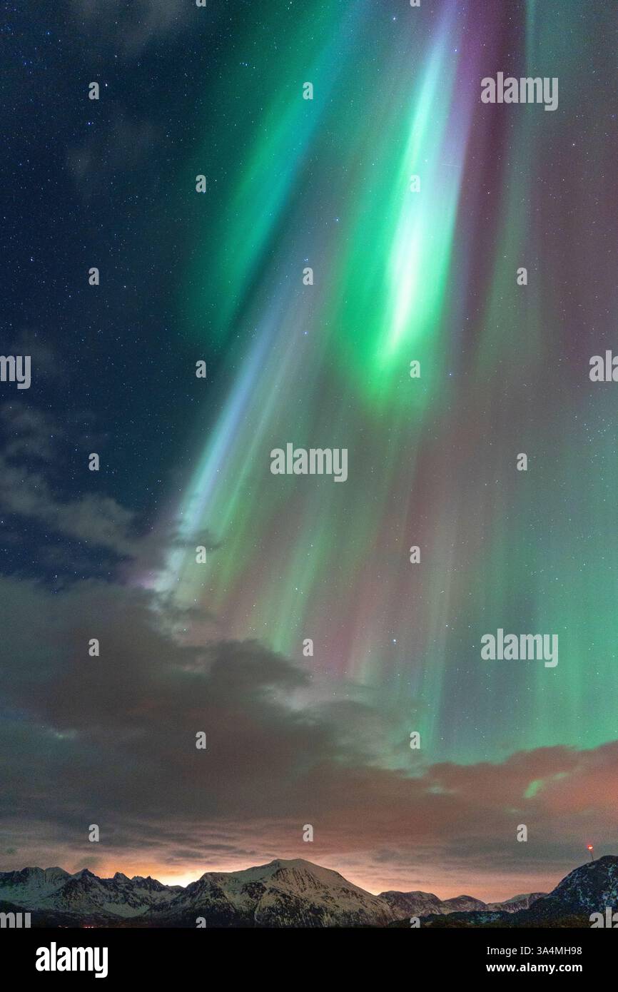 Wunderschöne Aurora Borealis über der Insel Kvaløya, tanzende Nordlichter, die sich in den Gewässern des Nordatlantiks spiegeln, grünes Licht am Himmel Stockfoto