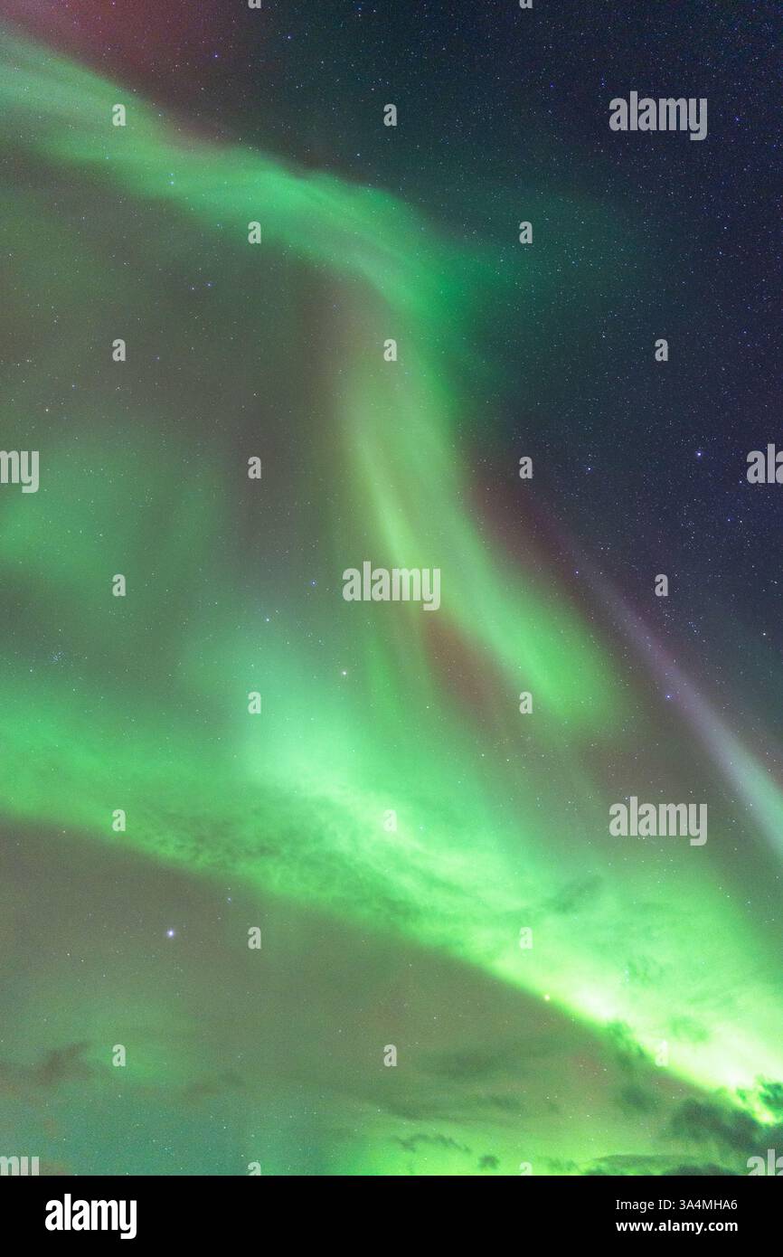 Nordlichter am Himmel, himmlische aurora Borealis in Grün, Lila und Rot über dem Kopf! Erstaunlich und schön, unglaublich stark und tanzend Stockfoto