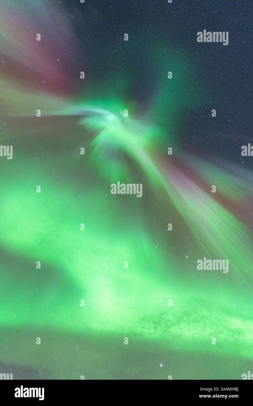 Nordlichter am Himmel, himmlische aurora Borealis in Grün, Lila und Rot über dem Kopf! Erstaunlich und schön, unglaublich stark und tanzend Stockfoto