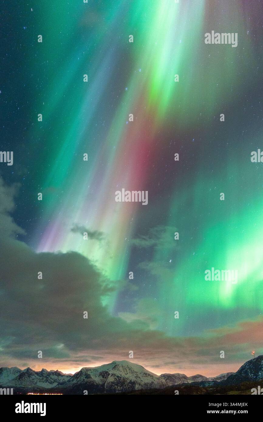Wunderschöne Aurora Borealis über der Insel Kvaløya, tanzende Nordlichter, die sich in den Gewässern des Nordatlantiks spiegeln, grünes Licht am Himmel Stockfoto