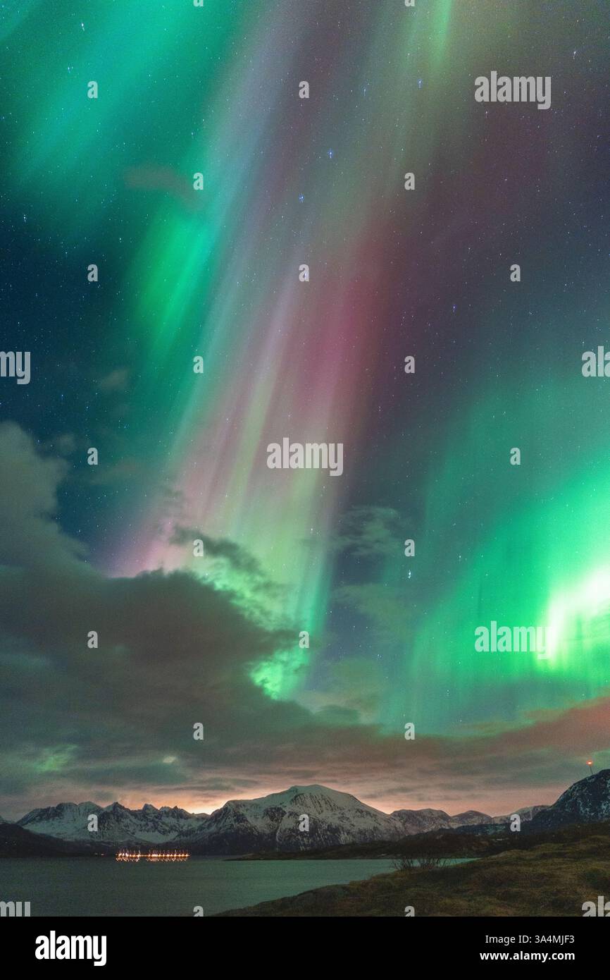Wunderschöne Aurora Borealis über der Insel Kvaløya, tanzende Nordlichter, die sich in den Gewässern des Nordatlantiks spiegeln, grünes Licht am Himmel Stockfoto
