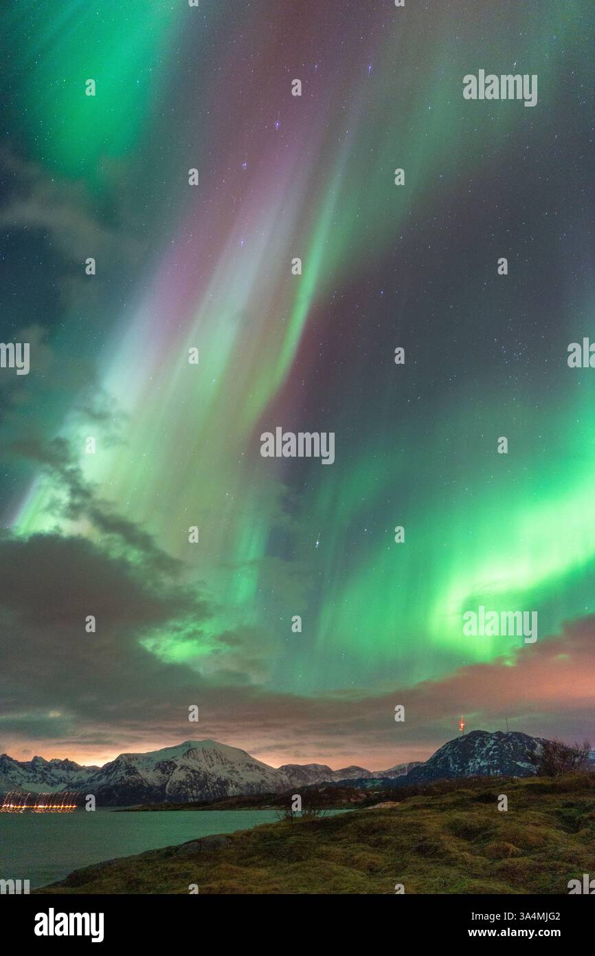 Wunderschöne Aurora Borealis über der Insel Kvaløya, tanzende Nordlichter, die sich in den Gewässern des Nordatlantiks spiegeln, grünes Licht am Himmel Stockfoto