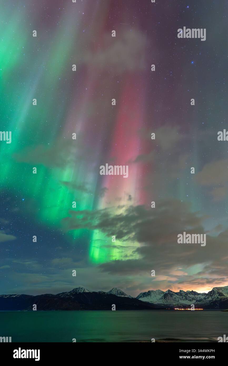 Wunderschöne Aurora Borealis über der Insel Kvaløya, tanzende Nordlichter, die sich in den Gewässern des Nordatlantiks spiegeln, grünes Licht am Himmel Stockfoto