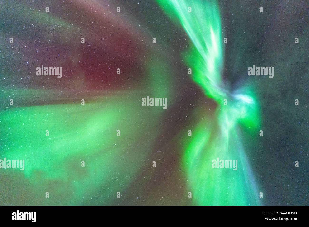 Nordlichter am Himmel, himmlische aurora Borealis in Grün, Lila und Rot über dem Kopf! Erstaunlich und schön, unglaublich stark und tanzend Stockfoto