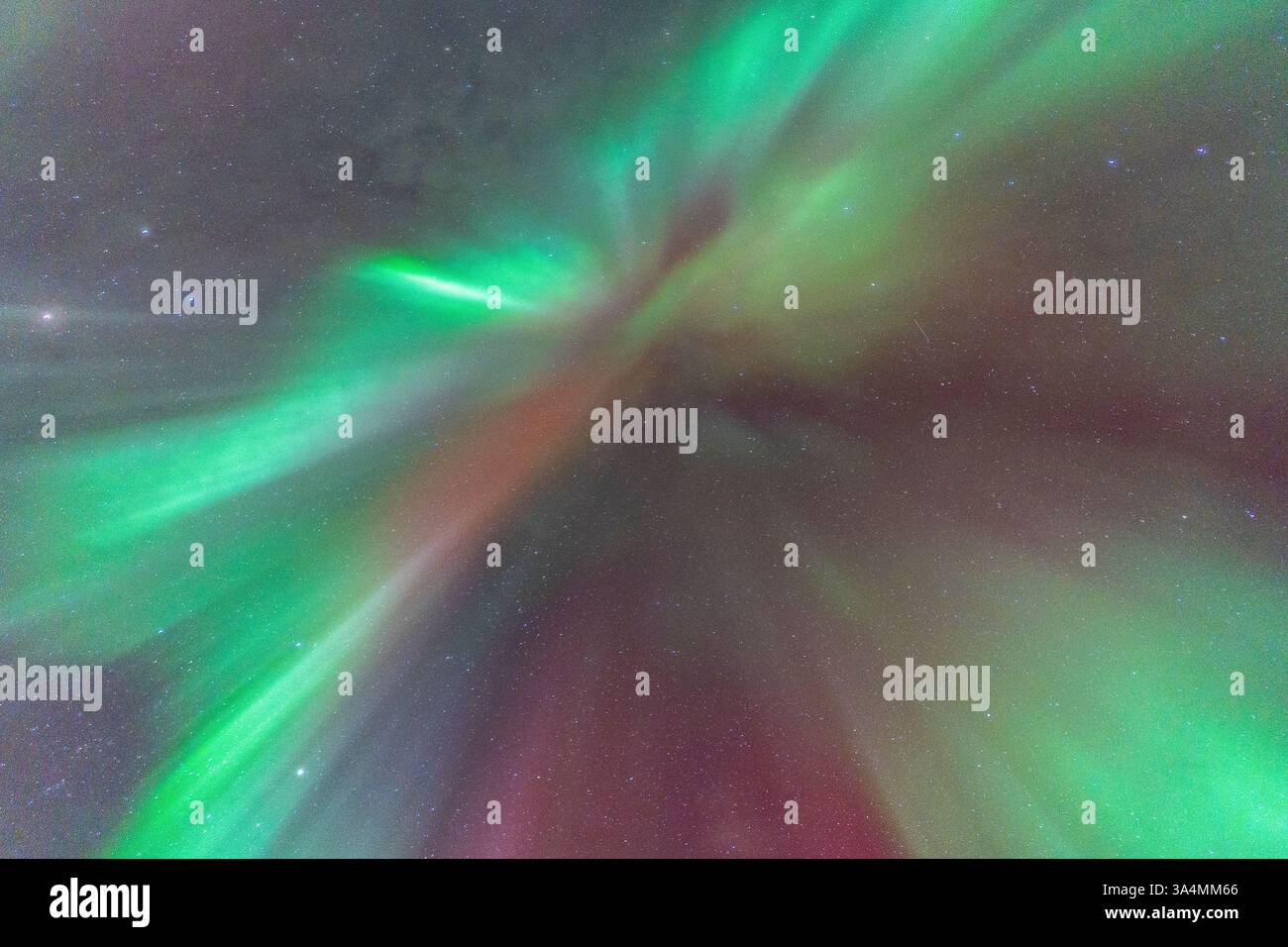 Nordlichter am Himmel, himmlische aurora Borealis in Grün, Lila und Rot über dem Kopf! Erstaunlich und schön, unglaublich stark und tanzend Stockfoto