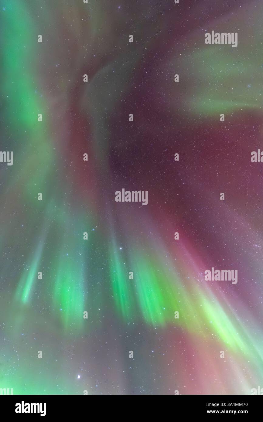 Nordlichter am Himmel, himmlische aurora Borealis in Grün, Lila und Rot über dem Kopf! Erstaunlich und schön, unglaublich stark und tanzend Stockfoto