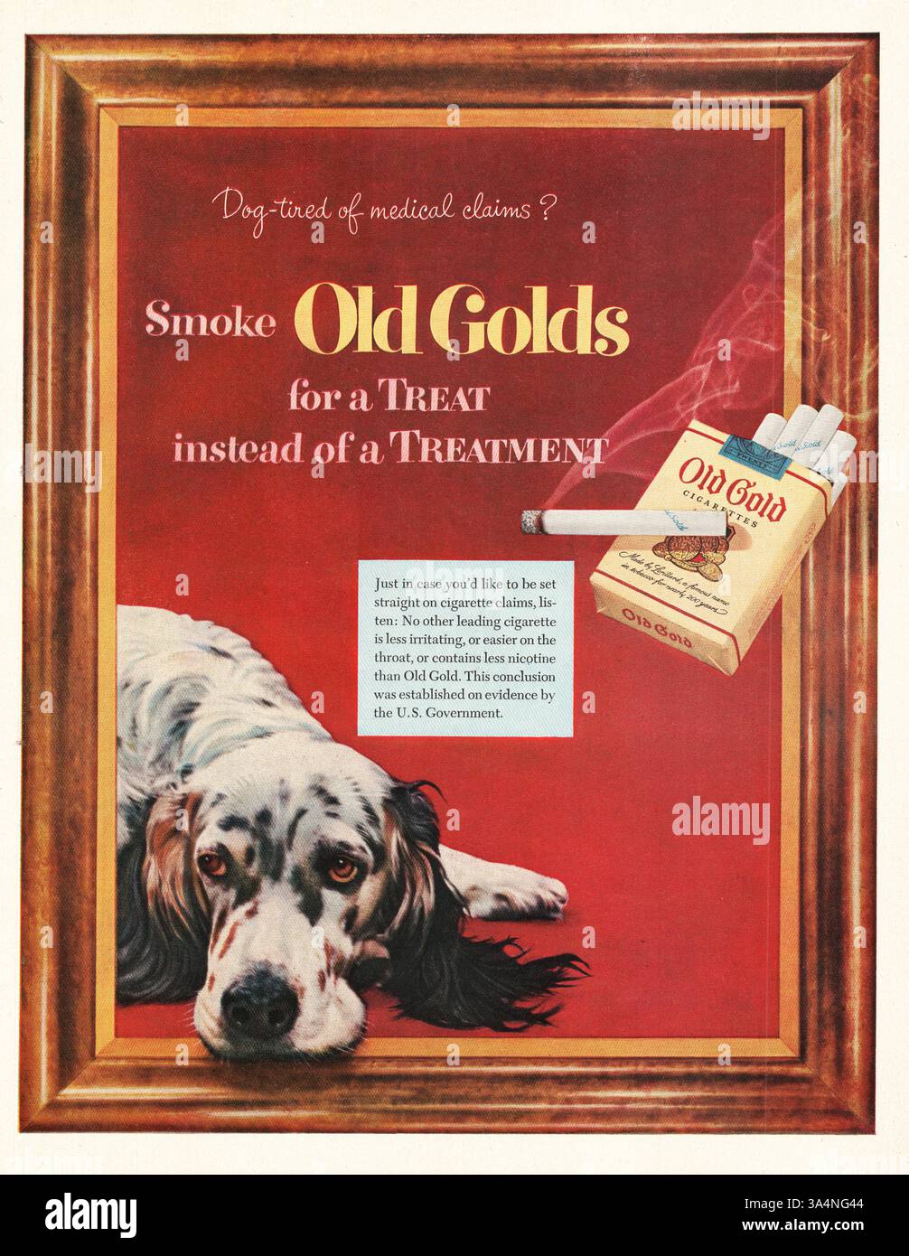 1952 US Magazine Werbespot Old Gold Zigarette Werbespot Stockfoto