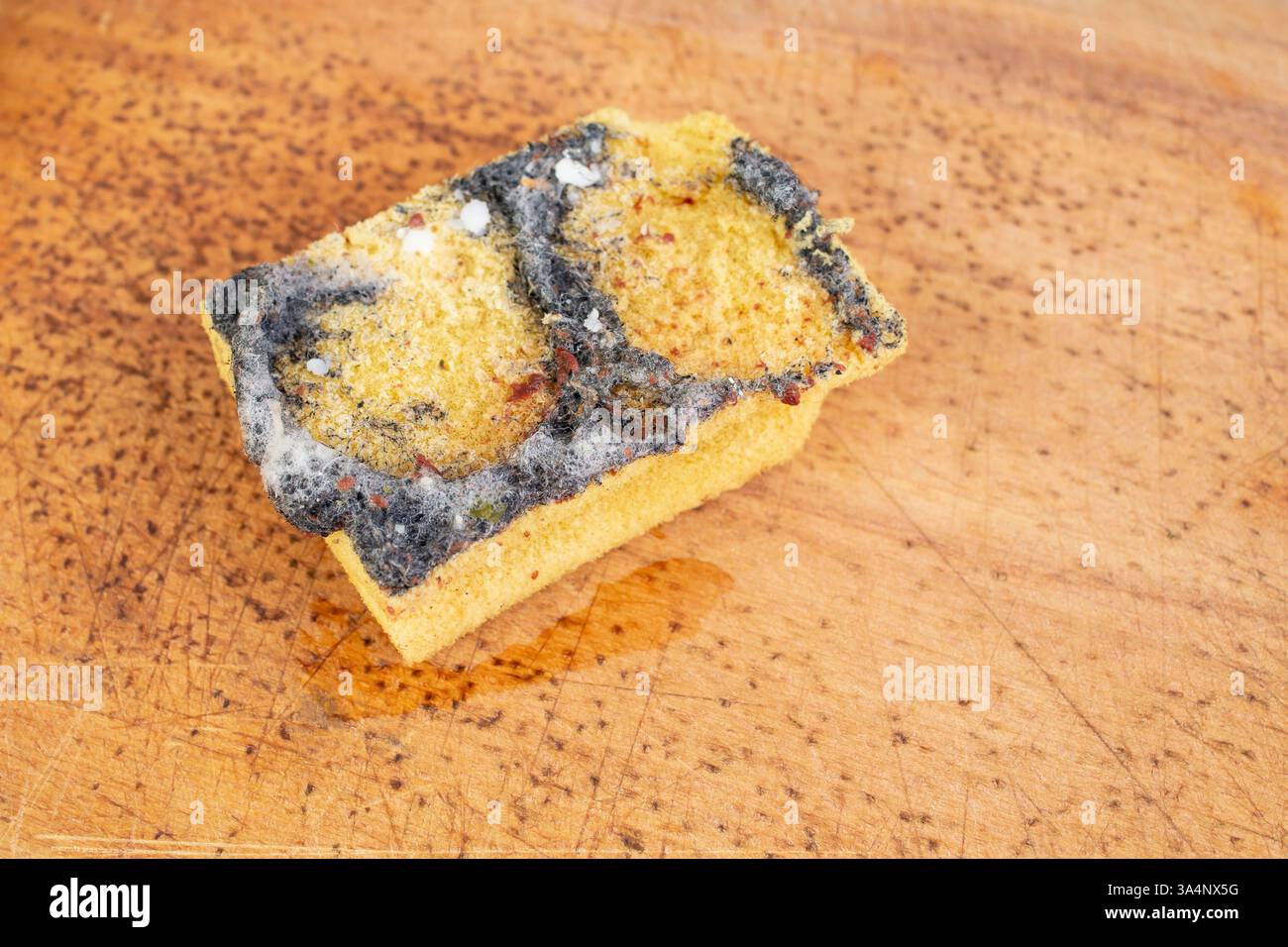 Übermäßig benutzter Geschirrschwamm mit Schaum und Schmutz isoliert auf geformten Holzplatten Stockfoto