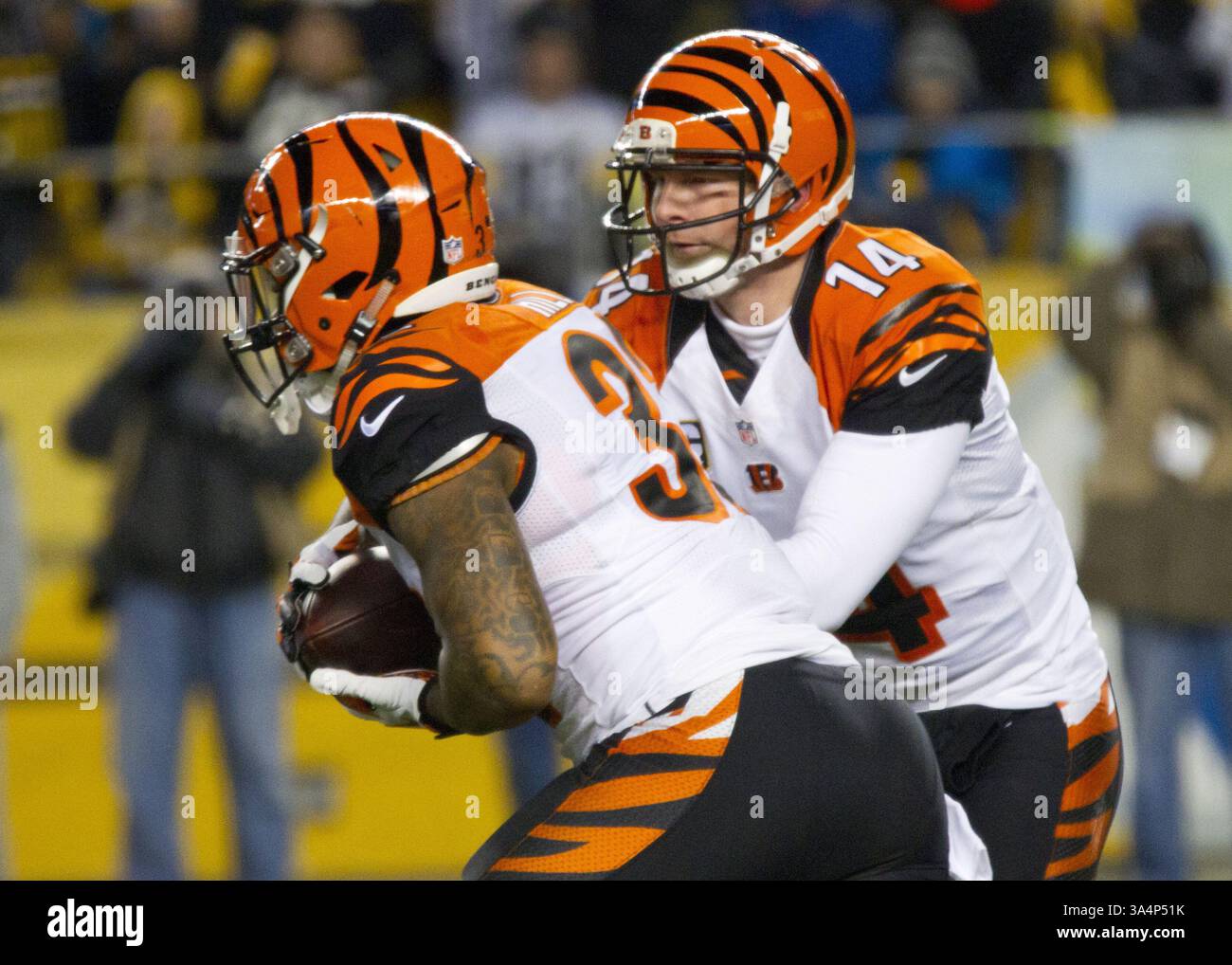 Dezember 2014 - Pittsburgh, Pennsylvania, USA S - Cincinnati Bengals Quarterback Andy Dalton (14) übergibt den Ball an Cincinnati Bengals, der Jeremy Hill (32) zurückspringt. Die Pittsburgh Steelers besiegen die Cincinnati Bengals 27-17 am Sonntag Abend im Heinz Field, um den Titel der AFC North Division zu gewinnen. (Kreditbild: © Brian Kunst/ZUMA Wire) Stockfoto