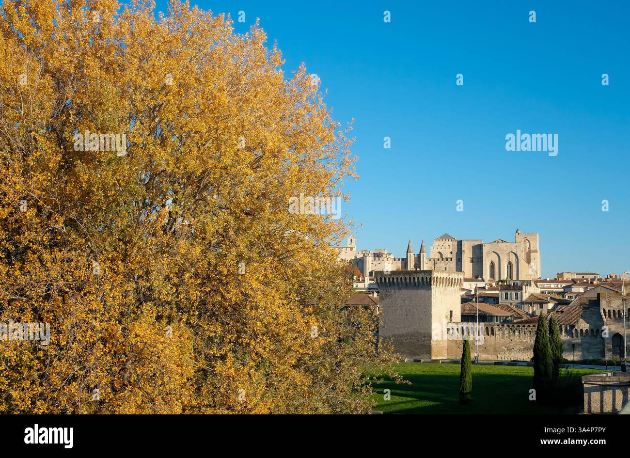 Malerischer Blick auf Avignon. Historische Architektur einer bezaubernden Altstadt. Majestätischer Papstpalast (Palais des Papes), ein UNESCO-Weltkulturerbe. Stockfoto