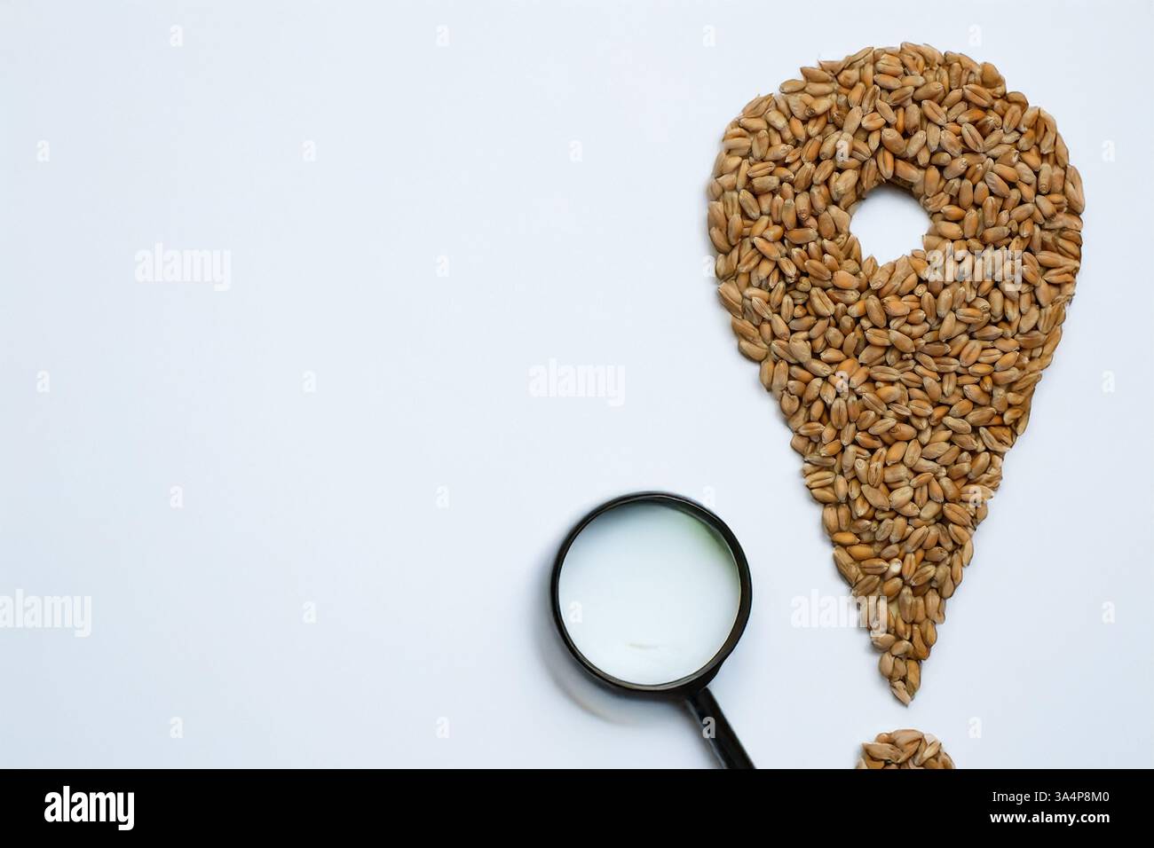 Die Luftblase wird aus Weizenkörnern hergestellt. Lupe für die Suche. Logistik, Geschäft und Transport. Stockfoto