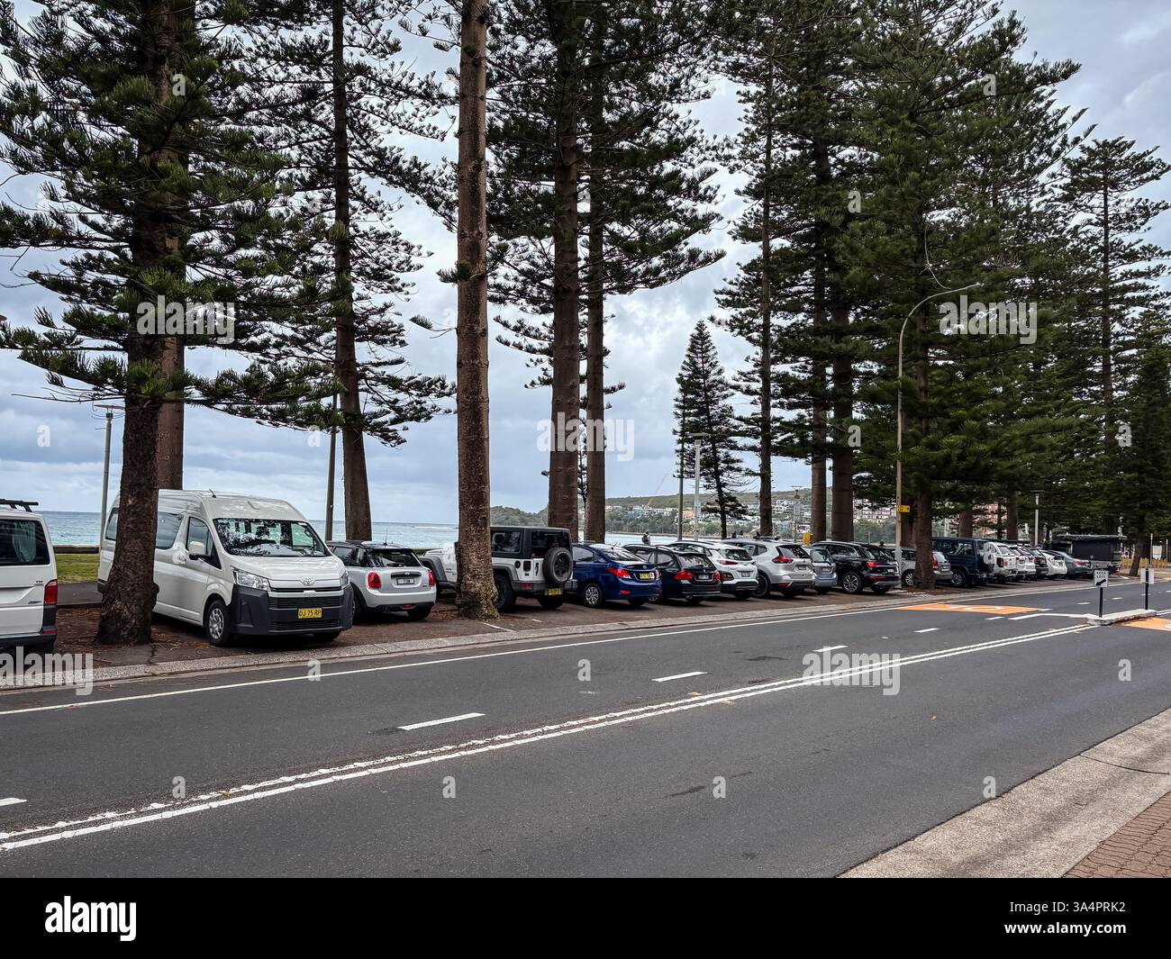 Fahrzeuge parkten entlang einer Straße in Manly, Sydney, Australien, mit Norfolk-Kiefern, die die Straße säumen und der Strand ist sichtbar. Stockfoto