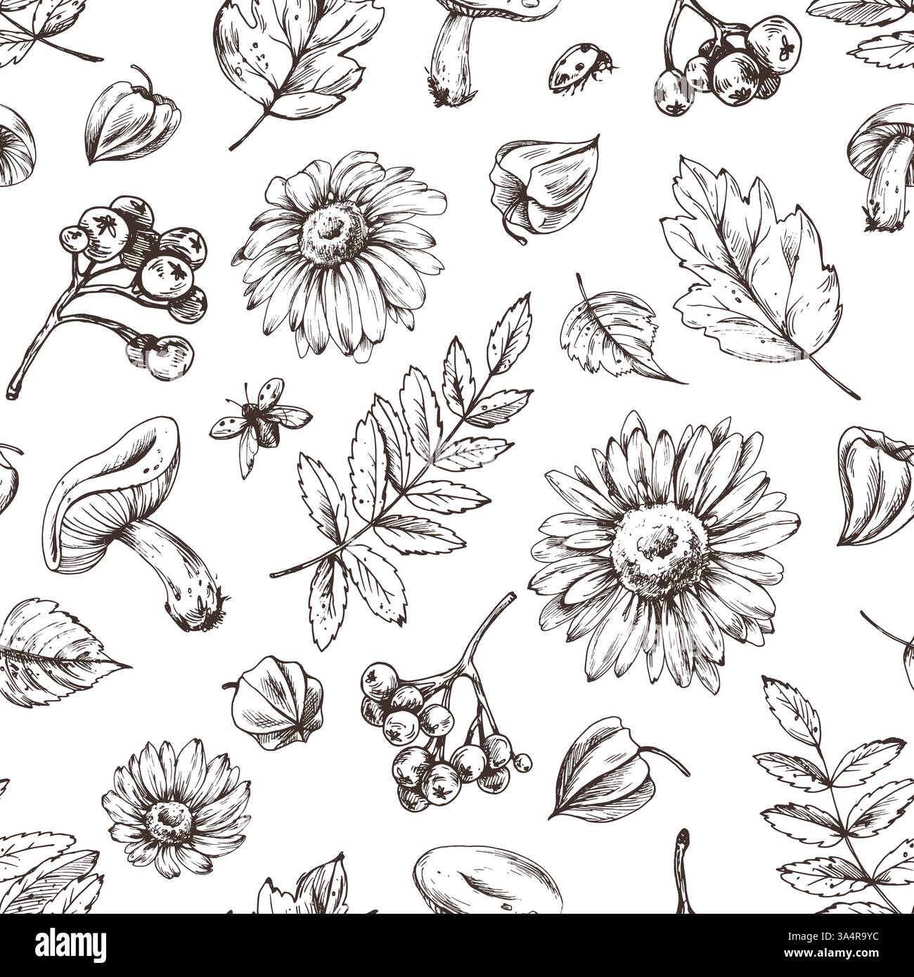 Herbstbeeren Physalis, Archaebeere, vogelblätter, Ahorn, Birke, Pilze, Rudbeckia-Blüten, Äste. Grafische Strichgrafik, handgezeichnet mit Schwarz Stock Vektor