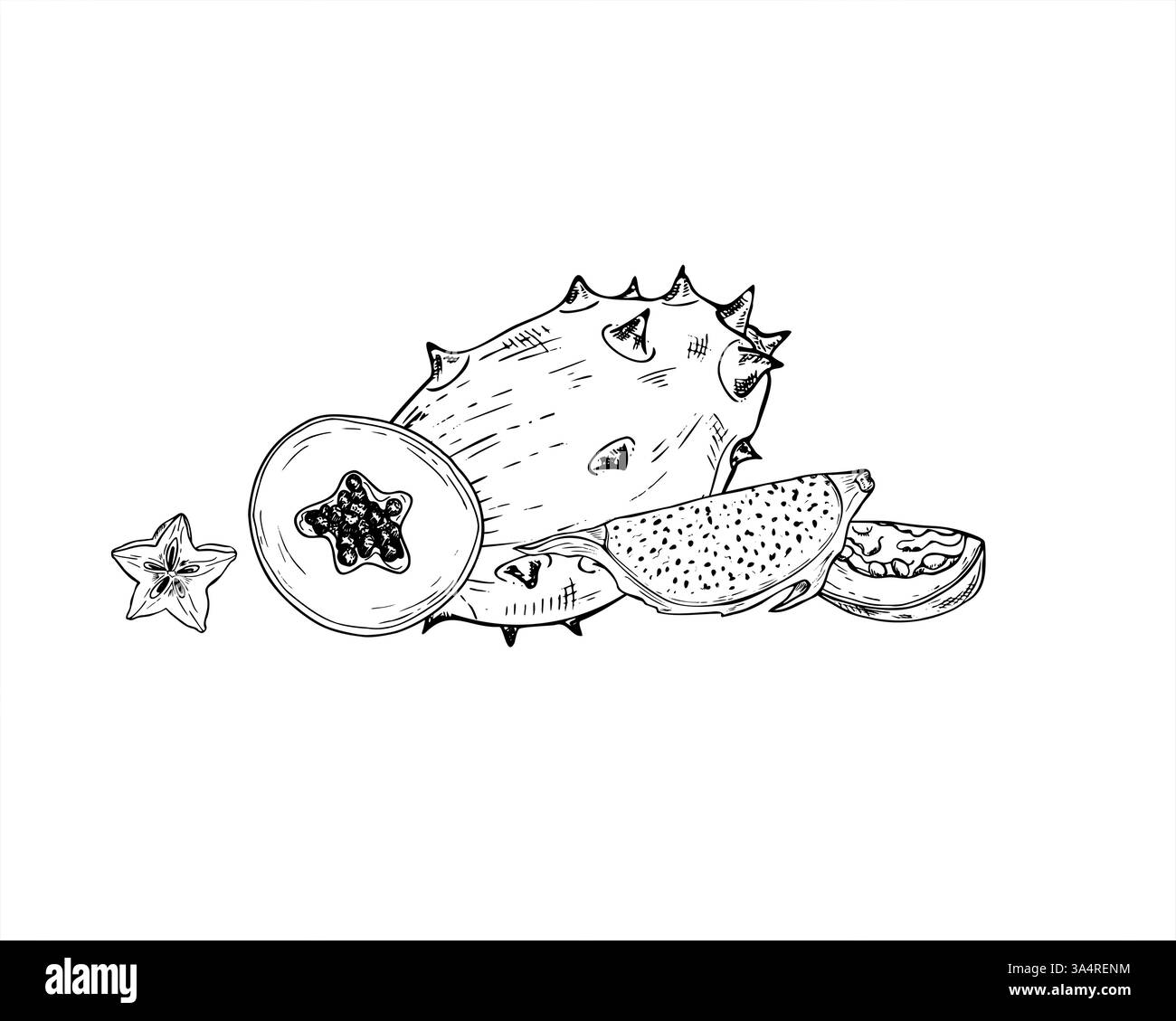 Exotische tropische Fruchtmischung Scheiben handgezeichnete Illustration mit schwarzer Tinte gemalt. Ganze Kiwano und Scheiben Pitahaya, Papaya, Maracuja und Karambola Stock Vektor