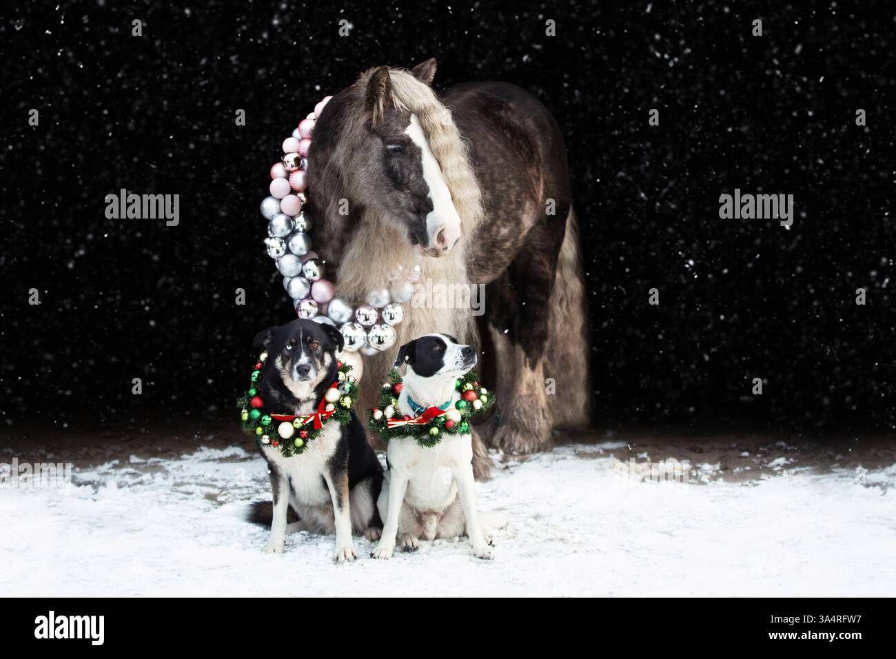 Tierfreunde Stockfoto