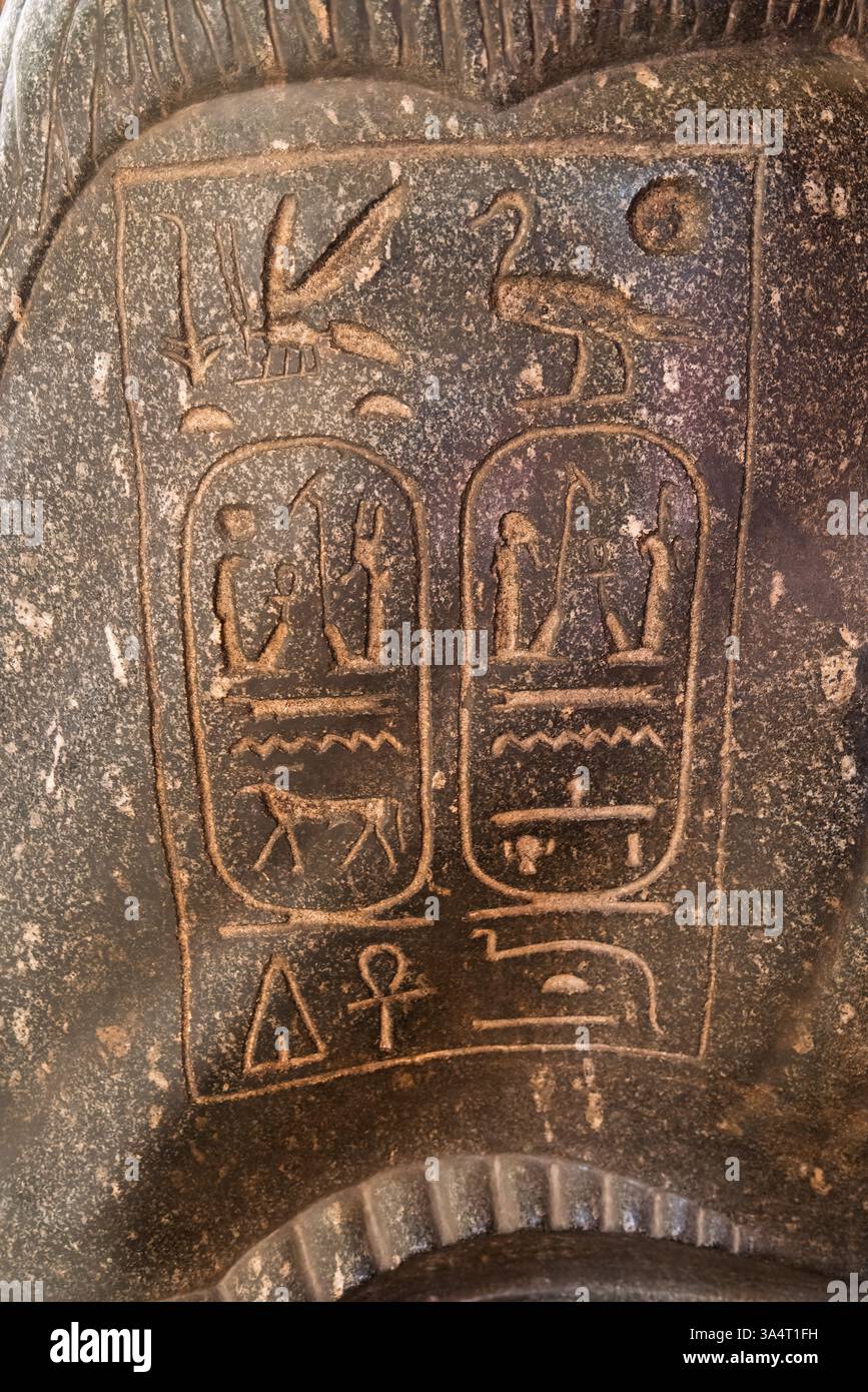 Kairo, Ägypten - 13. Januar 2025: Eine Nahaufnahme der Hieroglyphenkartuschen auf einem altägyptischen Artefakt. Die detaillierten Schnitzereien umfassen Vogel und an Stockfoto