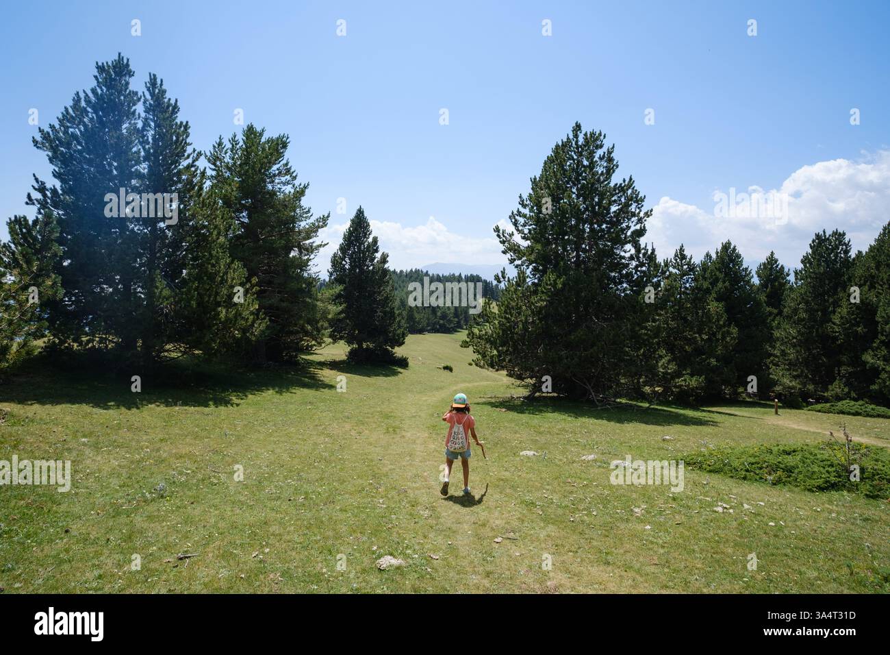 Una nena fa senderisme per la ruta del trencapinyes, al parc Natural del Cadí-Moixeró Stockfoto