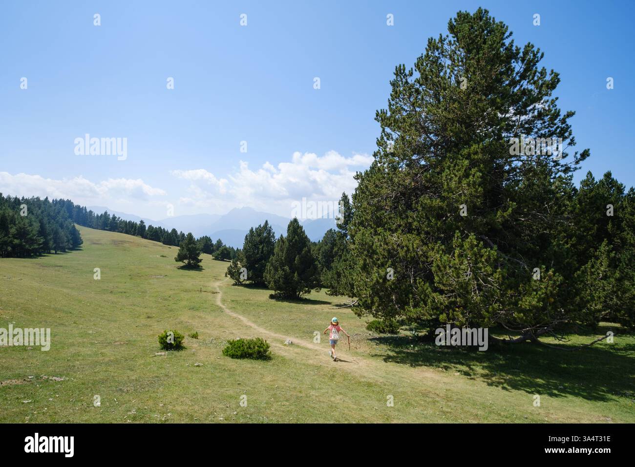 Una nena fa senderisme per la ruta del trencapinyes, al parc Natural del Cadí-Moixeró Stockfoto
