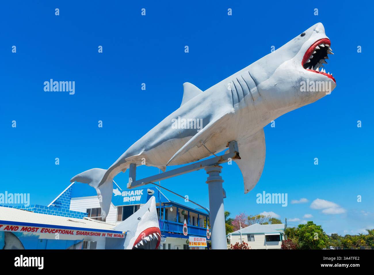 Great White Shark Expo Shark zeigen, Hervey Bay, Queensland, Australien Stockfoto