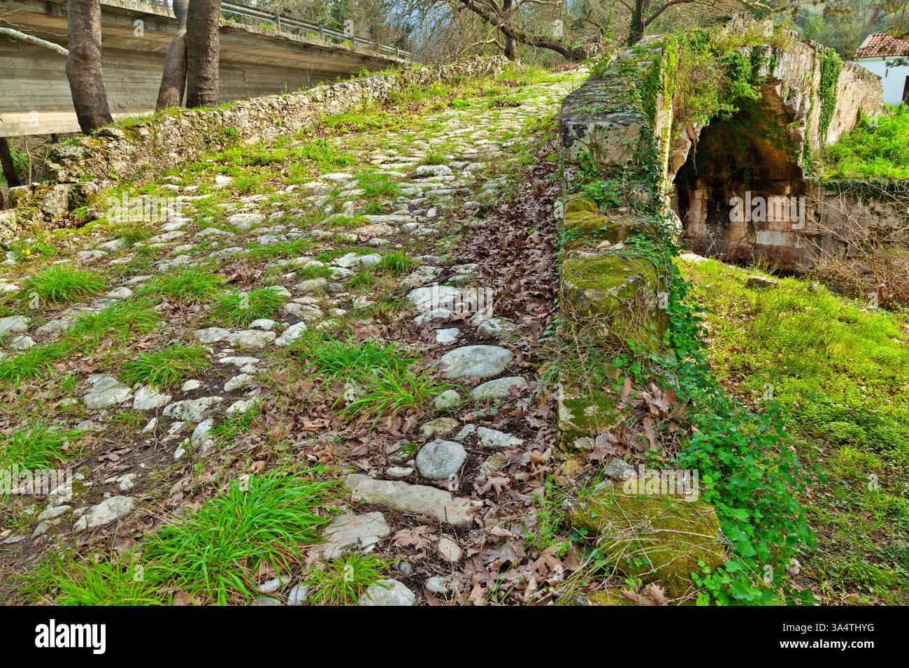 Alte Steinbrücke bedeckt mit Vegetation in Apokoronas, Kreta, Griechenland. Ein historischer Pfad, umgeben von Grün, mit traditioneller Architektur Stockfoto