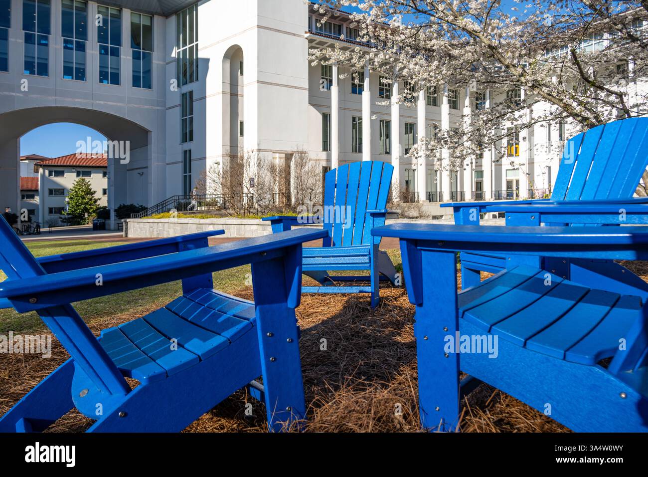 Sitzbereich im Innenhof der Goizueta Business School der Emory University in Atlanta, Georgia. (USA) Stockfoto
