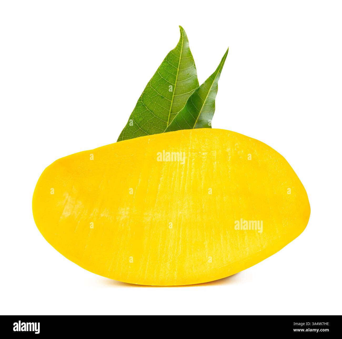Eine Hälfte reifer gelber Mangobrüchte mit grünen Blättern ist auf weißem Hintergrund mit Beschneidungspfad isoliert. Stockfoto