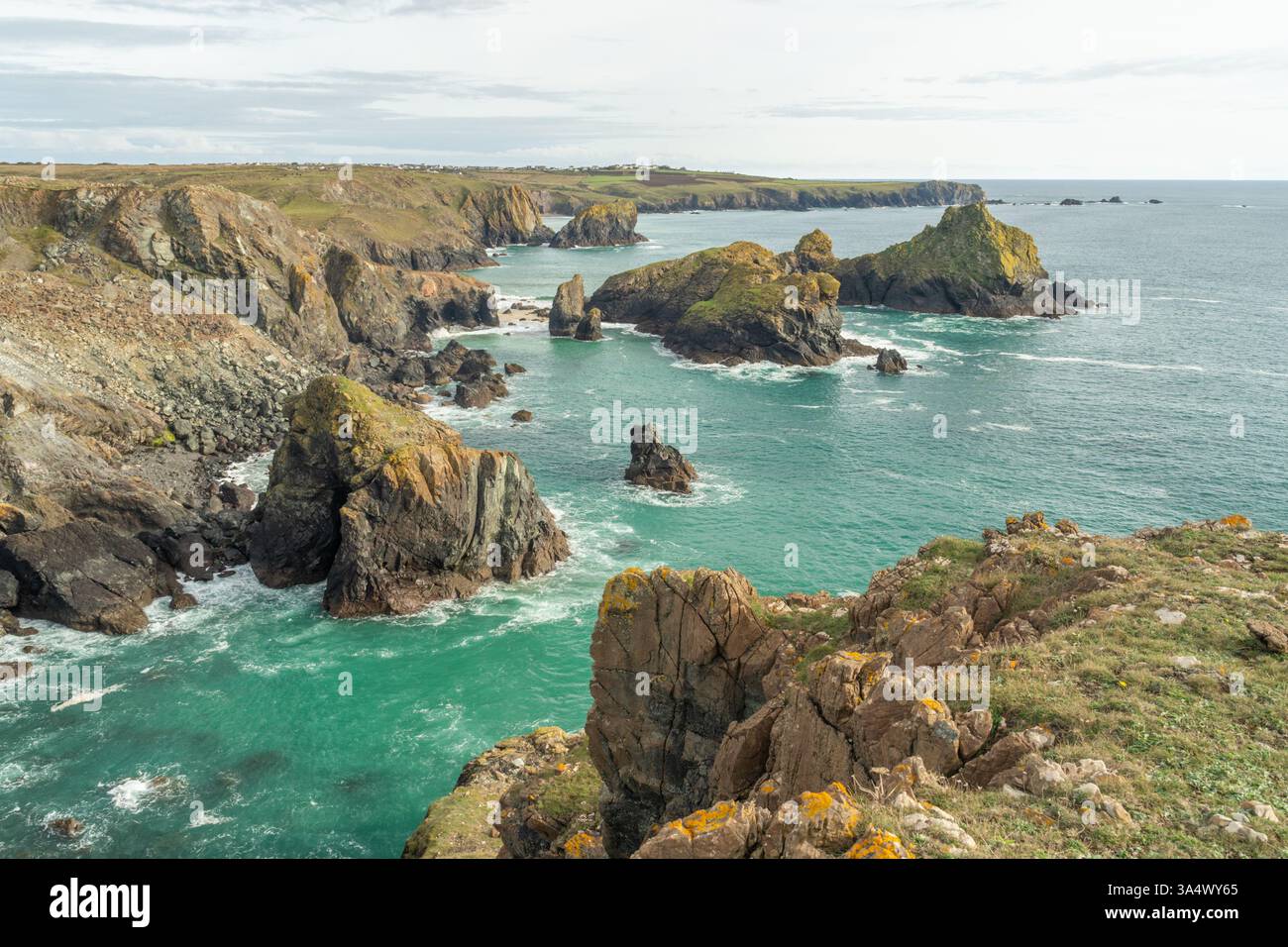 Blick von den Klippen in Richtung Kynance Cove mit Nantivet Rock und dem Balg im Vordergrund in Cornwall. Stockfoto