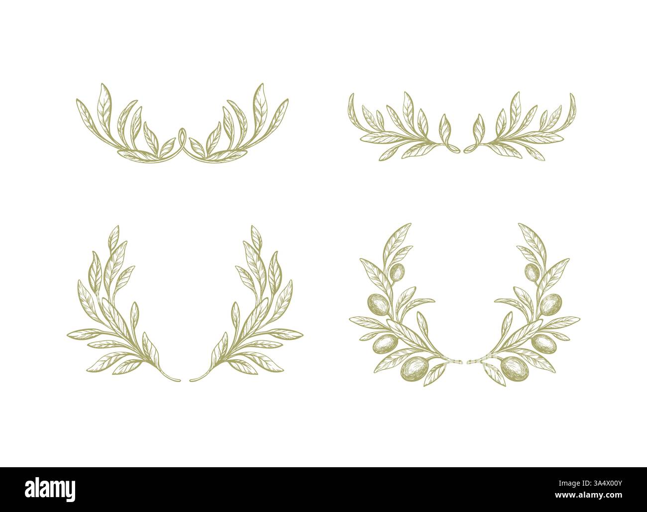 Satz Olivenkranz. Grünes Laub, Vintage-Muster. Kunsttexturzweig isoliert. griechisches Vektor-Ornament, elegante Borte für Hochzeitsdekor. Stock Vektor